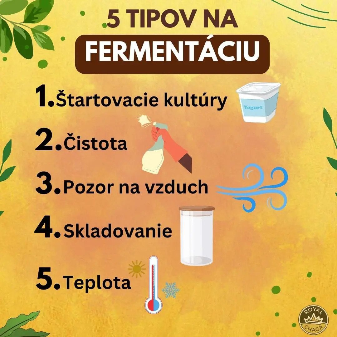 5 tipov na fermentáciu